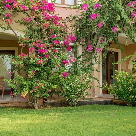 Mariposas ヴィッラシミーウス