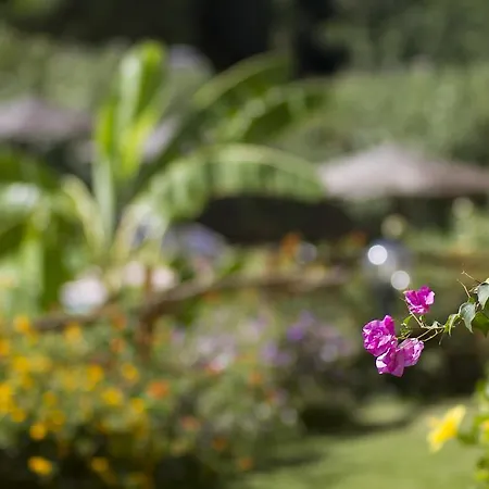 Mariposas ホテル 3*