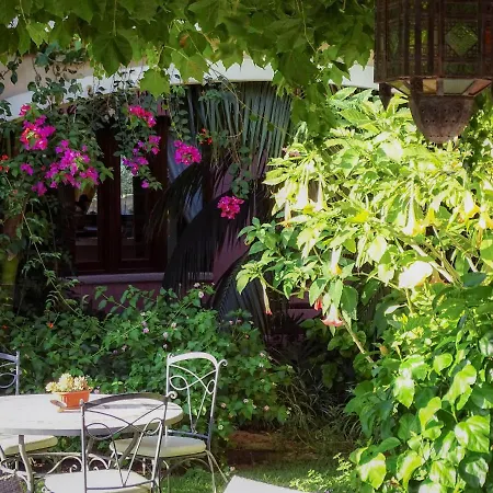 Hotel Mariposas